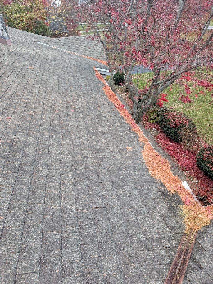 Gutter Debris Cleaning