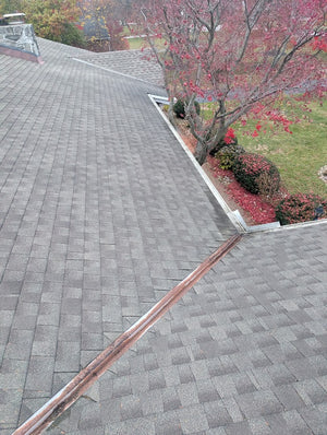Gutter Debris Cleaning